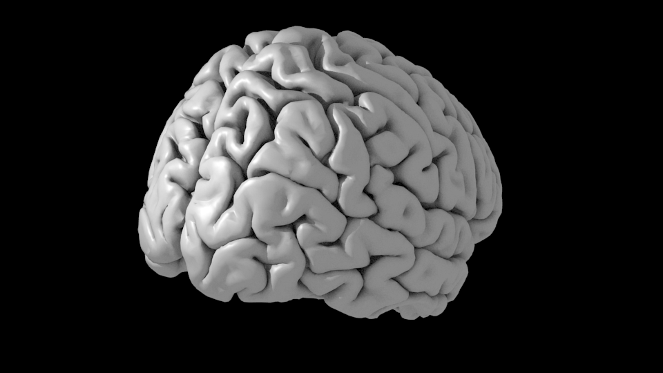 A FreeSurfer brain surface rendered in blender